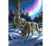 Sunsout - Puzzle Lupi e luci - 1000 Pezzi