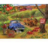 Sunsout - Puzzle Scegli le tue mele - 500 Pezzi