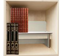 SUNUCO Inserto per libro in brossura compatibile con unità Ikea Kallax, inserti ripiani per una migliore organizzazione dei libri (1 pezzo)