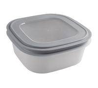 Sunware Sigma Home - Contenitore salvafreschezza per microonde, congelatore, 2,8 l, grigio, 23 x 23 x 9 cm, ermetico, a prova di perdite, impilabile, senza BPA
