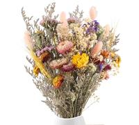 Sunyunze 40 Pezzi Fiori Secchi Vari Stili Composizione Fiori Secchi Lunga Durata Fiore Essiccati Decorativi Stile Bohémien per DIY Regalo Resina Segnalibri Album Decorazioni