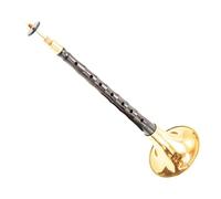 Suona Con Palo In Ebano Strumento Musicale Tradizionale Cinese Suona Corno Con Accessori Suona per Principianti (Color : F minor)