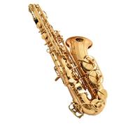 Suona Il Sassofono Contralto, Il Sassofono Contralto, Il Sassofono Contralto Nello Strumento Musicale Mi Bemolle