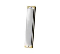 Suona O Esercitati Con L'armonica Accentata A 21 Fori In La Maggiore E Altre Tonalità armonica Strumento Professionale(G key to A flat)