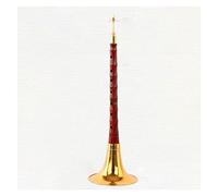 suona strumento a fiato cinese Il Palissandro Suona Principianti Strumento Musicale Entry-level Professionale Per Adulti Che Suona Il Corno (Color : Major G key)