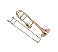 Suonare Il Trombone Conico Per Principianti In Si Bemolle Professionale Trombone