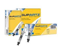 Supartz Siringa Intrarticolare Preriempita Ialurato di Sodio 2,5 ml 25 Mg 5 Pezz