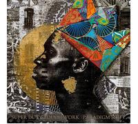 Super Duty Tough Work Paradigm Shift (Vinyl LP)