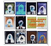super furry ani fuzzy logic (b-sides & besides) (green bottle (rsd 2 (Vinyl LP)