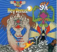 Super Furry Animals - Hey Venus!