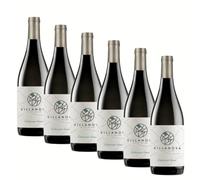 SUPER OFFERTA Cabernet Franc Isonzo DOC | Vino Rosso Friuli Venezia Giulia | 6 Bottiglie 75cl | Idea Regalo