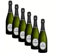 SUPER OFFERTA CHAMPAGNE BRUT TORNAY | Pinot Nero | Pluripremiato | 6 bottiglie da 75 cl