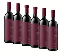 SUPER OFFERTA Costasecca Rosso Umbria IGT | Vino Rosso | Gusto Secco e Delicatamente Tannico | 6x750 ml