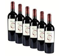 SUPER OFFERTA NEGROAMARO SALENTO IGT | Vino ROSSO | PUGLIA | 6 Bottiglie 75cl | Idea Regalo