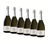 SUPER OFFERTA Prosecco Asolo DOCG | Prosecco | Veneto | Glera 100% | 6 Bottiglie 75cl | Idea Regalo