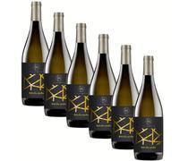 SUPER OFFERTA Ribolla Gialla Venezia Giulia IGT (750ml) (Confezione da 6)