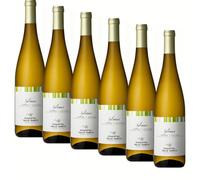SUPER OFFERTA Sylvaner Alto Adige DOC | Vino BIANCO | Eisacktal Kellerei Valle Isarco | Alto Adige | 6 Bottiglie 75cl | Idea Regalo