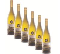 SUPER OFFERTA Vermentino Toscana IGT | Vino Bianco dal Gusto Limpido ed Equilibrato e Profumi Floreali | 12.5% Vol | Confezione con 6 Bottiglie da 750 ml