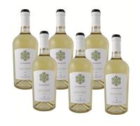 SUPER OFFERTA Vino Bianco Bellone Lazio IGT | Cantine Volpetti | Lazio | 6 Bottiglie 75 Cl | Idea Regalo