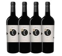 SUPER OFFERTA Vino Rosso Montepulciano d'Abruzzo D.O.C. 13%, Gusto Secco e Delicatamente Tannico, 4x750 ml