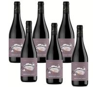 SUPER OFFERTA Vino Rosso Montepulciano d'Abruzzo D.O.C. 13%| Gusto Secco e Delicatamente Tannico | 6x750 ml