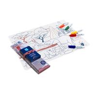 SUPER PETIT - Gioco educativo - Set da tavolo da colorare - Tema Savana - 5 feltri e bracciale - Facile da pulire - Riutilizzabile - Antibatterico - Da 3 anni