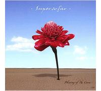 Super So Far - Blessing Of The Curse