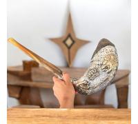 SUPER VENDITA Shofar 14" Argento Sterling Ram Plated Shofar Horn Lion of...