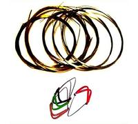Superbrass.com-Value Pack 1-Set completo di Ellora Sitar indiano-Set di 4 Mizrab plettri