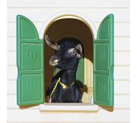 Superchunk Wild Loneliness (Vinyl LP) 12" Album