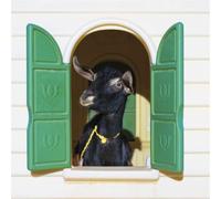 Superchunk Wild Loneliness (Vinyl LP) 12" Album Coloured Vinyl