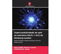 Supercondutividade de spin na estrutura SU(2) × U(1) de Ginzburg-Landau: Quebra de Simetria e Dinâmica de Gauge na Teoria de Ginzburg-Landau