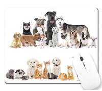 Superficie Liscia Tappetino per Il Mouse Different Cats And Dogs Customized Gaming Mousepad Tappetini Mouse 25x30cm per PC,Laptop,Ufficio