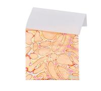 SUPERFINDINGS 50 Foglio di Carta in Foglia di Metallo con Motivi Foglia di Lamina Variegata Salmone Chiaro Lamina D'Imitazione Fogli di Foglia d'oro per Dipinti per Unghie Fai da Te Artigianato
