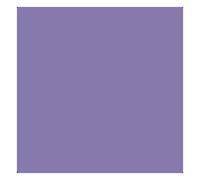 Superior Fondale in cartoncino Thistle 1,31x11m
