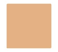 Superior Fondale Pongee 1,31x11m in Cartoncino