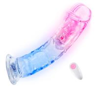 SuperLove LED Vibrating Dildo with Remote Large