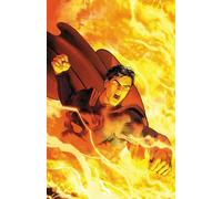 Superman: The Final Days of Superman