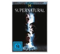 Supernatural - Die komplette vierzehnte Staffel [5 DVDs] (DVD) Jared Padalecki