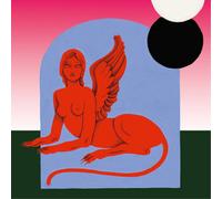 Superpitcher The Golden Ravedays 9 (Vinyl LP) 12" Album