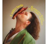 Il Solito Dandy Supersonico Sogno Di Un Mondo Nascosto (CD)