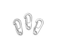 Supertool, mini moschettoni a molla, 10 pezzi, in acciaio, a forma di D, per campeggio, escursionismo, pesca o come organizer per chiavi, argento