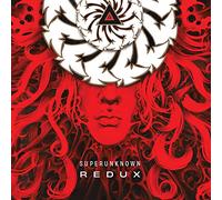 Superunknown Redux