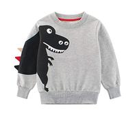 SUPFANS, maglietta da ragazzi con simpatici dinosauri, pullover a maniche lunghe, in cotone, T-Rex, top per bambini, 01 grigio., 3 anni