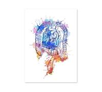 Supkan natomia Colorata Cervello Cuore Rene Seno Wall Art Canvas Painting Nordic Poster e Stampe Immagini murali Medici Office Decor(G,15X20 cm No Framed)