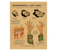 Supkan natomia della Sirena Poster Uccello Creature curiose Stampe su Carta Kraft Vintage Home Room Cafe Bar Art Decorazione Parete Pittura estetica(5,A4 8.3x11.8inch)