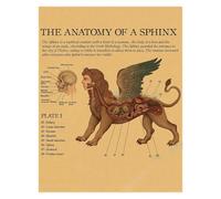 Supkan natomia della Sirena Poster Uccello Creature curiose Stampe su Carta Kraft Vintage Home Room Cafe Bar Art Decorazione Parete Pittura estetica(15,A3 16.5x11.8inch)