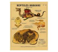 Supkan natomia della Sirena Poster Uccello Creature curiose Stampe su Carta Kraft Vintage Home Room Cafe Bar Art Decorazione Parete Pittura estetica(11,A3 16.5x11.8inch)