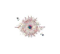 Supkan natomia dell'occhio Oftalmologo Optometria Strumento Astratto Nordic Poster e Stampe Arte della Parete Tela Pittura Medici Decorazione dell'ufficio(E,20X25 cm Unframed)