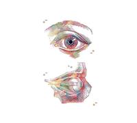 Supkan natomia dell'occhio Oftalmologo Optometria Strumento Astratto Nordic Poster e Stampe Arte della Parete Tela Pittura Medici Decorazione dell'ufficio(H,15X20 cm Unframed)